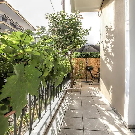 Meteora Family Dream